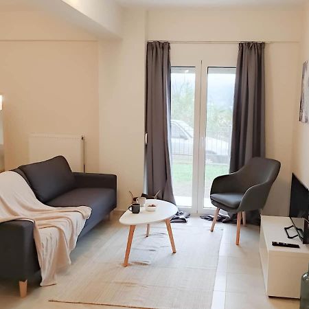 Cozy Modern Apartment Ioannina Buitenkant foto