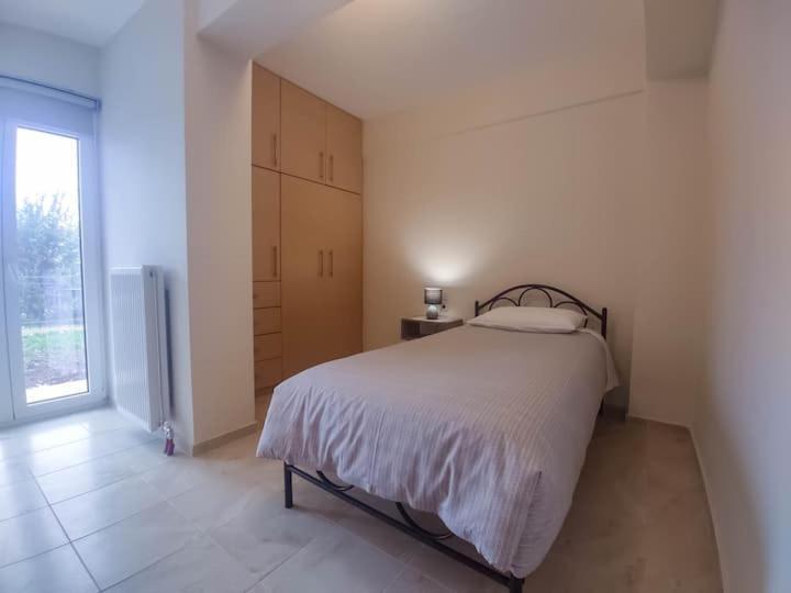 Cozy Modern Apartment Ioannina Buitenkant foto